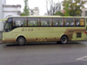 特惠团队出行车：现代49座 1350元