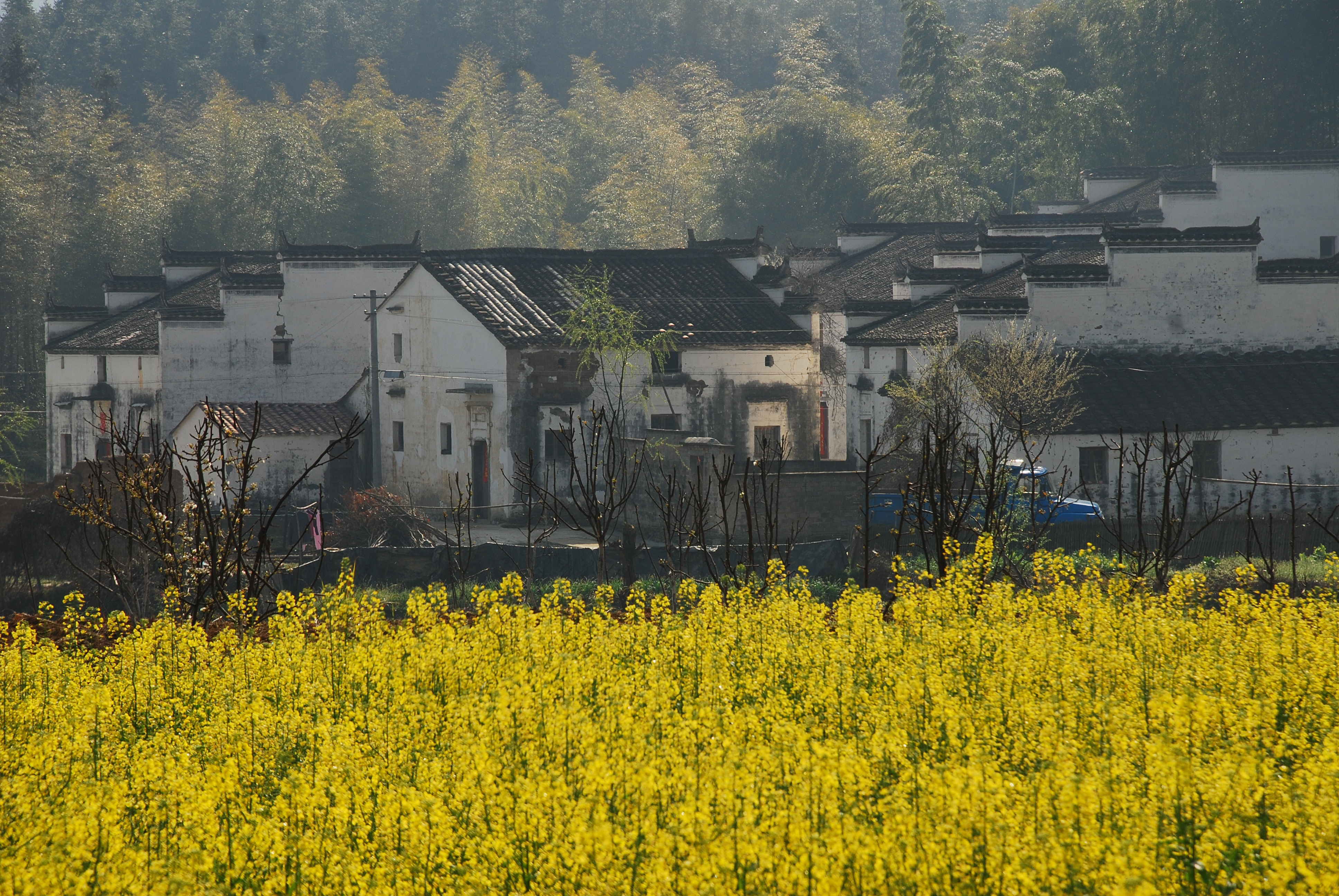 婺源3日游(巴士,江岭,篁岭,熹园,晓起)